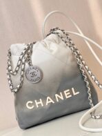 CC HOBO MINI 20CM WHITE GREY LAMBSKIN SILVER HARDWARE - Image 9