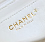 MINI RECTANGLE FLAP BAG TOP HANDLE 20CM WHITE LAMBSKIN SILVER HARDWARE - Image 10