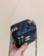 CC VANITY CASE 11 BLACK CAVIAR RUTHENIUM HARDWARE - Image 3