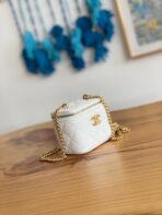 CC MINI 10 VANITY IN WHITE CALFSKIN GOLD HARDWARE - Image 3