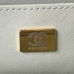 CC SMALL 15 VANITY CASE IN LIGHT GREY CALFSKIN GOLD HARDWARE - Image 7