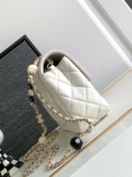 CHA 23K CF Bag - Image 3
