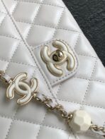CHA 23K CF Bag - Image 10