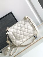 CHA 23K CF Bag - Image 6