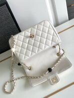 CHA 23K CF Bag - Image 9