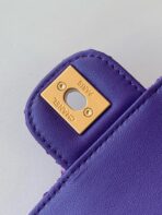 CHA 24C Coco Carry Me Handbag - Image 7