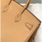 HERM Birkin 25cm Bag In Chai   GHW - Image 5