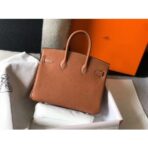 HERM Birkin 25cm Bag In Gold   GHW - Image 2