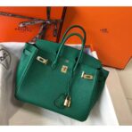 HERM Birkin 25cm Bag In Vert Vertigo   GHW - Image 2