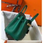 HERM Birkin 25cm Bag In Vert Vertigo   GHW - Image 4