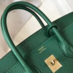 HERM Birkin 25cm Bag In Vert Vertigo   GHW - Image 5
