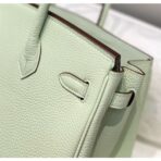 HERM Birkin 25cm Bag In Vert Fizz   PHW - Image 7