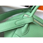 HERM Lindy Mini Bag In Vert Criquet   GHW - Image 4