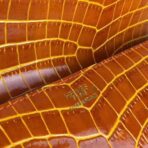 HERM Medor Clutch Bag In Orange Crocodile - Image 6