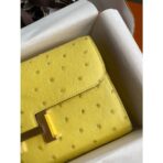 HERM Constance To Go Wallet in Lime Ostrich - Image 3
