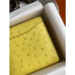 HERM Constance To Go Wallet in Lime Ostrich - Image 4