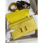 HERM Constance To Go Wallet in Lime Ostrich - Image 6