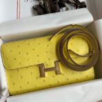 HERM Constance To Go Wallet in Lime Ostrich