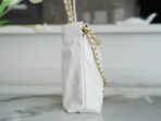 CHA 23s 22Mini Bag - Image 10