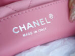 CHA 23s 22Mini Bag - Image 10