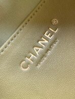 CHA 31Bag Mini - Image 11