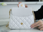 CHA 23C Hobo Bag (small) - Image 8