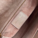 DIO Lady DIO - Image 10