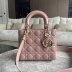 DIO Lady DIO - Image 2