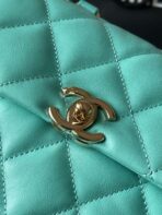 CC 20 BAG IN PERSIAN GREEN CALFSKIN GOLD HARDWARE - Image 5