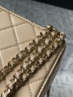 CC 16 CAMERA BAG IN DARK BEIGE CALFSKIN AND GOLD PLATED METAL - Image 8