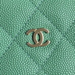 HOBO BAG 21 IN GREENISH GRAINED CALFSKIN GOLD HARDWARE - Image 6