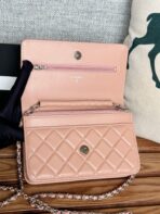 CC WOC ENTRUPY 19 BAG IN LIGHT PINK CALFSKIN - Image 3
