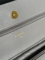 CC WOC ENTRUPY 19 BAG IN SPANISH GREY CALFSKIN - Image 7