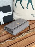 CC WOC ENTRUPY 19 BAG IN SPANISH GREY CALFSKIN - Image 3