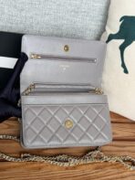 CC WOC ENTRUPY 19 BAG IN SPANISH GREY CALFSKIN - Image 4