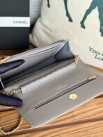 CC WOC ENTRUPY 19 BAG IN SPANISH GREY CALFSKIN - Image 8