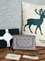 CC WOC ENTRUPY 19 BAG IN SPANISH GREY CALFSKIN - Image 5