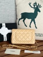 CC WOC ENTRUPY 19 BAG IN DARK CREAM CALFSKIN - Image 3