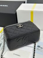MINI VANITY TOP HANDLE CASE 17 IN BLACK CAVIAR SKIN SILVER-TONE PLATED METAL - Image 10