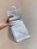 CC 25 HANDBAG IN SILVER-TONE 30 GRAINED CALFSKIN GOLD HARDWARE - Image 8